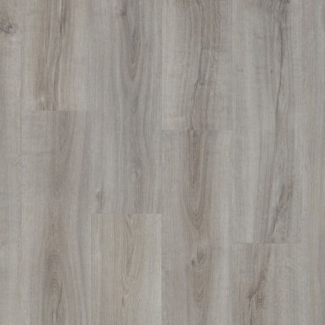 Tapi kiri in greco oak dryback